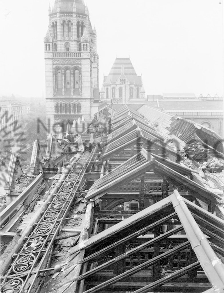 PH/16/3/1
Second World War bomb damage: roof of Botany Department
1940