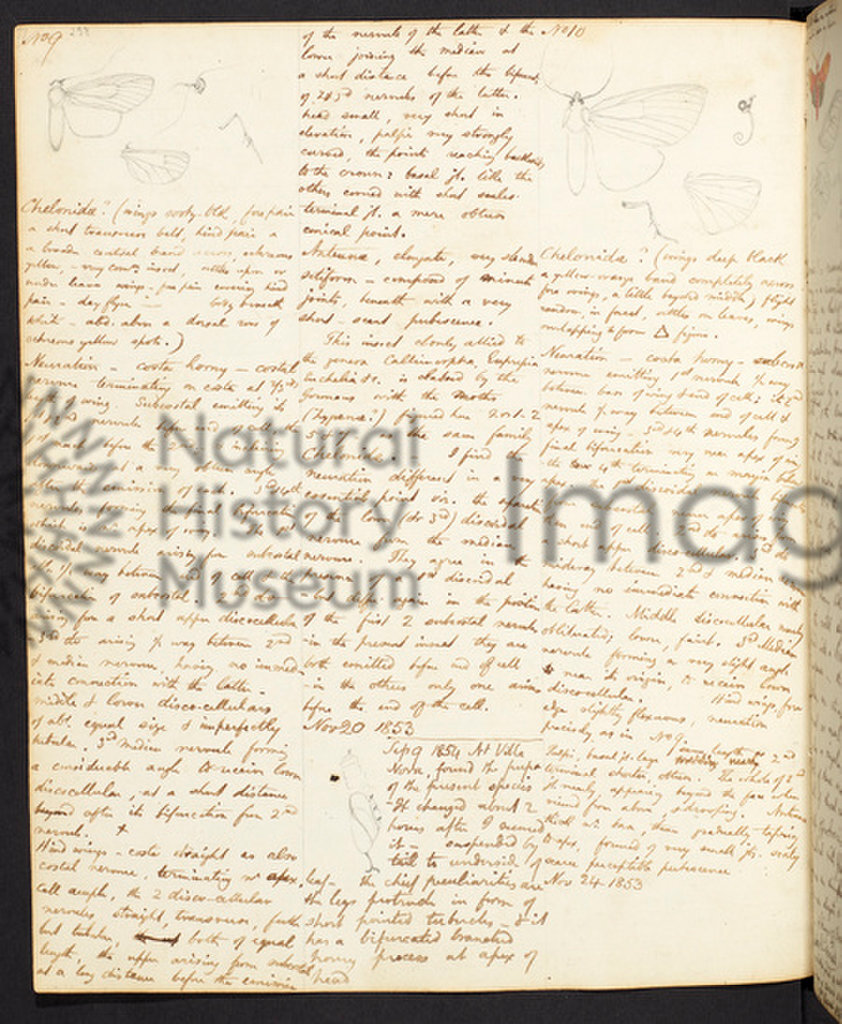 The Amazon Expedition of Henry Walter Bates
