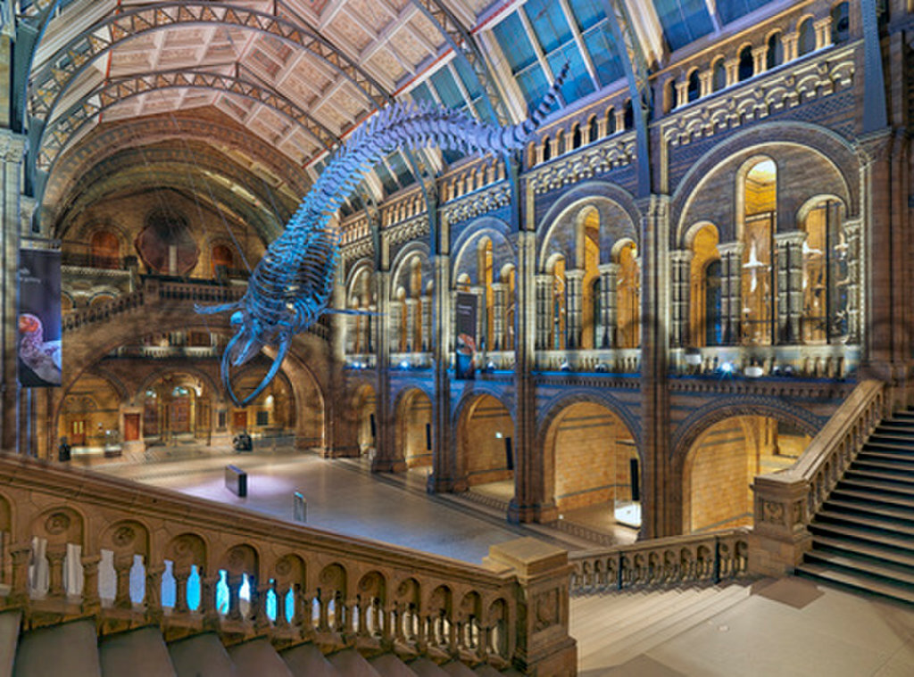 Hintze Hall with Hope